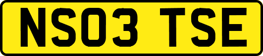 NS03TSE