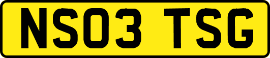 NS03TSG