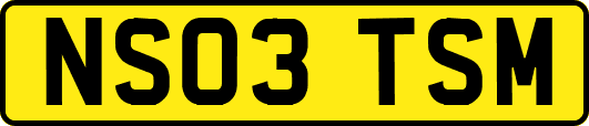 NS03TSM