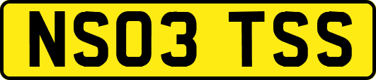 NS03TSS