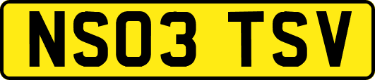 NS03TSV