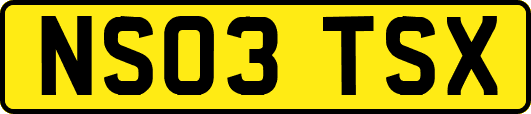 NS03TSX