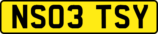 NS03TSY