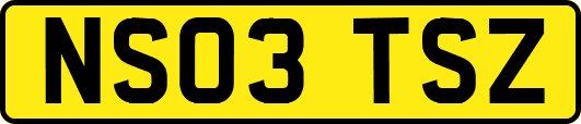 NS03TSZ