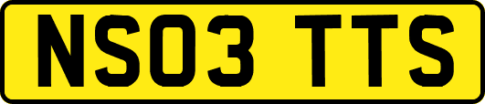 NS03TTS