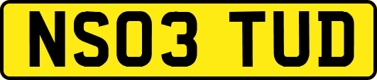 NS03TUD