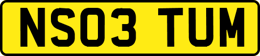 NS03TUM