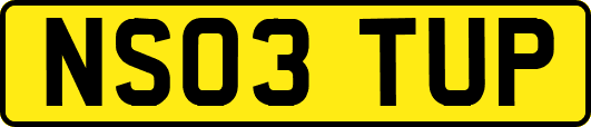 NS03TUP