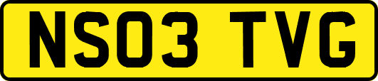 NS03TVG