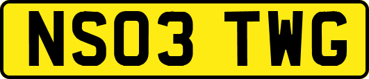 NS03TWG
