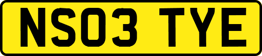 NS03TYE