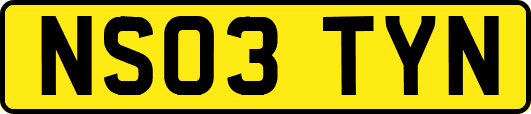 NS03TYN