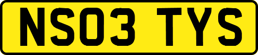 NS03TYS