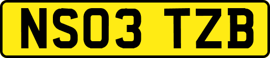NS03TZB