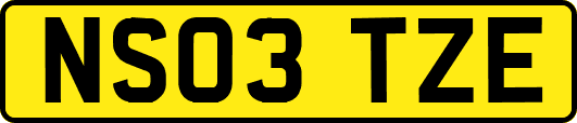 NS03TZE