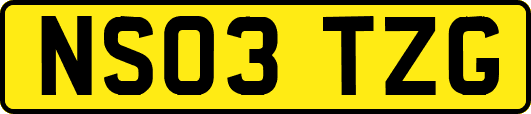 NS03TZG