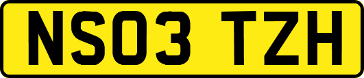 NS03TZH