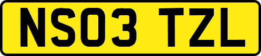NS03TZL