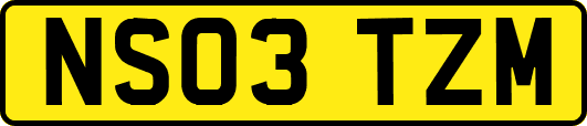 NS03TZM
