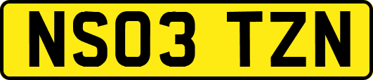 NS03TZN