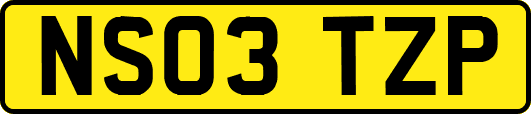 NS03TZP