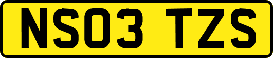 NS03TZS