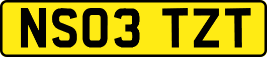 NS03TZT