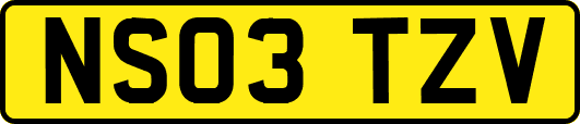 NS03TZV