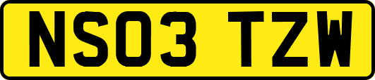 NS03TZW