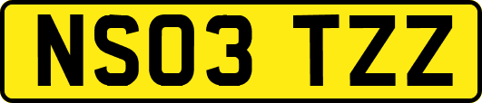 NS03TZZ