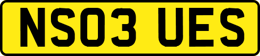 NS03UES
