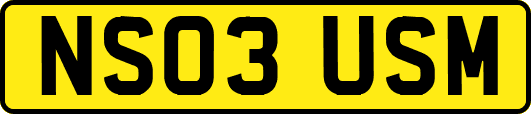 NS03USM