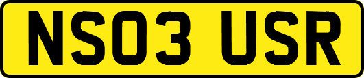 NS03USR