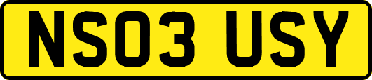 NS03USY
