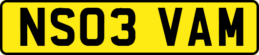 NS03VAM