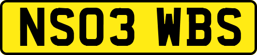 NS03WBS