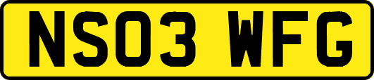 NS03WFG