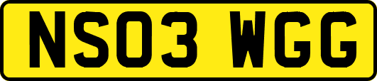 NS03WGG