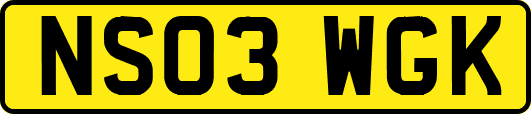 NS03WGK