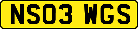 NS03WGS