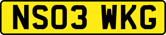 NS03WKG
