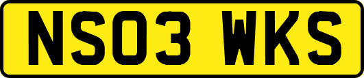 NS03WKS