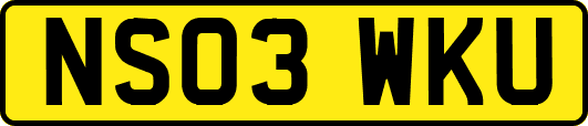 NS03WKU