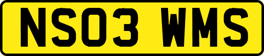 NS03WMS