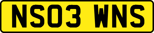 NS03WNS