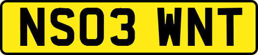 NS03WNT