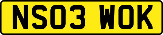 NS03WOK