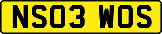 NS03WOS