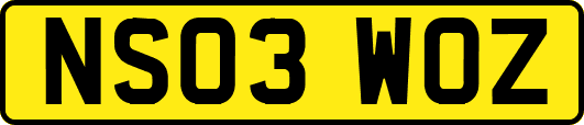 NS03WOZ