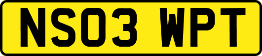 NS03WPT